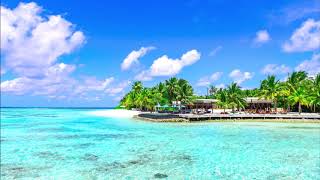 steel drums calypso (new version)