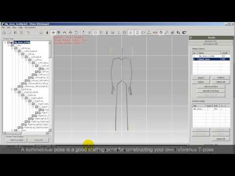 3DXchange5 Tutorial - Converting External Motions without a Preset T-Pose