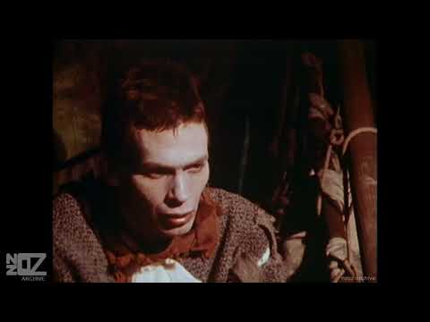 The Reels - Quasimodo's Dream (1981)