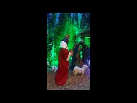 Presépio Igreja São Benedito 2017 Presépio Igreja São Benedito 2017
