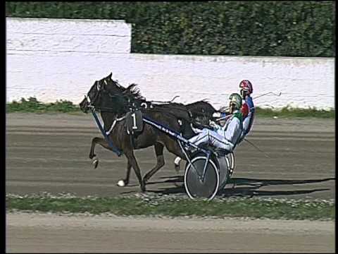 Trotto 08/11/2015 - Corsa Minitrotter