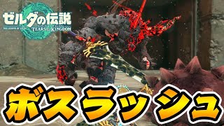 地底闘技場のボス連戦ヤバすぎワロタwww-PART18-【ゼルダの伝説ティアーズオブザキングダム】