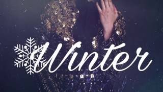 Winter by Birdy