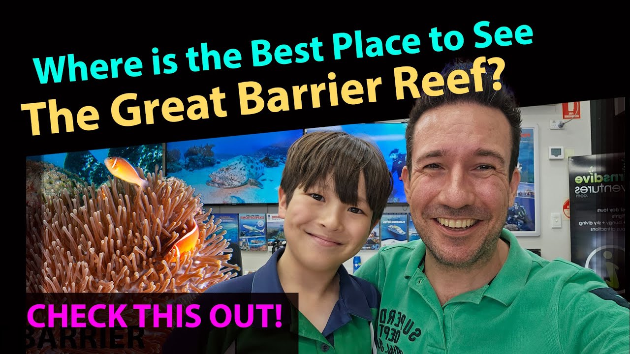 The Salt Spray Hits Your Face As Your Line Sings Into The Azure Water… Here’s How To Nail Beach Fishing In The Great Barrier Reef! 🎣