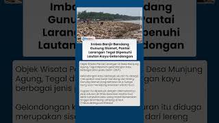 Penampakan Lautan Kayu Gelondongan di Pantai Larangan Tegal Diduga Imbas Banjir Bandang Kawasan Guci