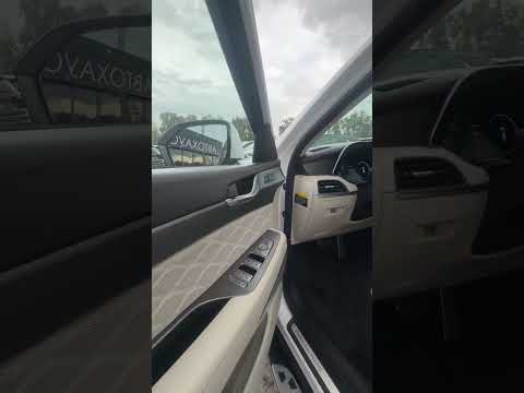 фото hyundai palisade i 0