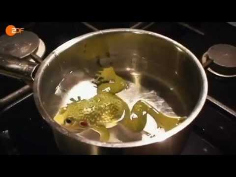 Frontal21 Toll!: Der satirische Jahresrückblick 2012 - ZDF (1/2) (14.12.2012)