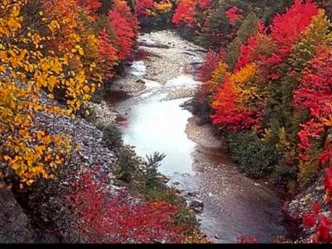 Land der dunklen Wälder-Ostpreußenlied- gesungen vom MGV   Alsdorf Broicher Siedlung