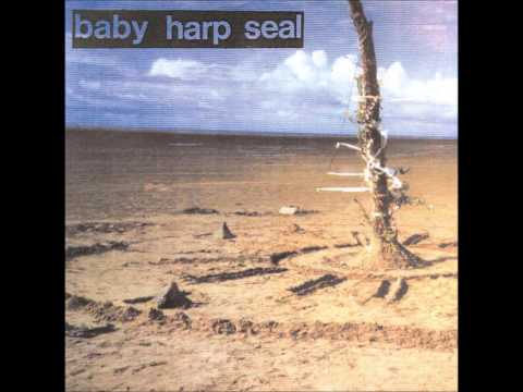Baby Harp Seal 