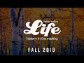 Get Ready for The next issue of Heber Valley Life, Fall 2018.