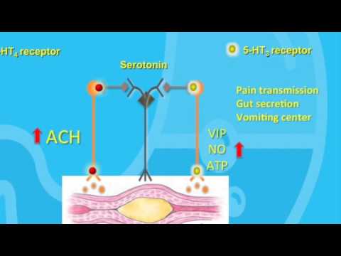 Prostate cancer stage 4 treatment in india