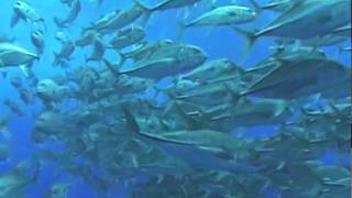 Cuando sea Espacio   Alejandro Sanz