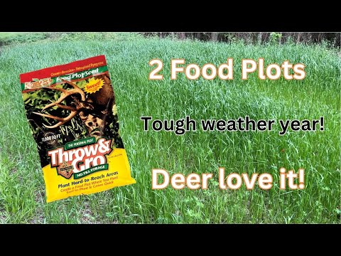 Harvest Evolved Throw & Gro Food Plot Mix - Deer seem to love it!