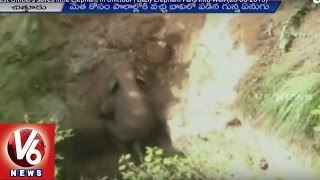 AP Forest Officers saves little Elephant in Chittoor | Baby Elephant Falls Into Well (23-08-2015)