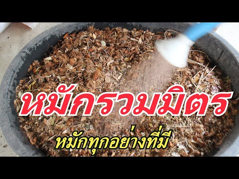 Ep.631 /23  "หมักรวมมิตร"  ไม่ต้องจำสูตร ไม่มีอัตรส่วน  วิธีนี้เหมาะกับมือใหม่และทุกคนที่สนใจ