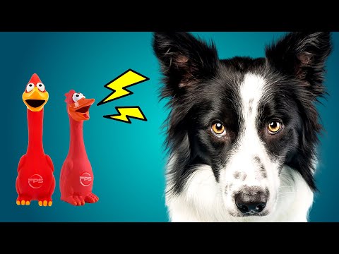 BEST Squeaky Toys for Your Dog in 2026 🐶 TOP 13
