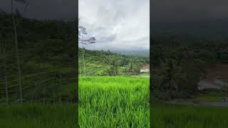 Download lagu Relaksasi Suling Sunda,, Indahnya Alam Pedesaan Indonesiaku mp3 Download lagu Relaksasi Suling Sunda,, Indahnya Alam Pedesaan Indonesiaku mp3