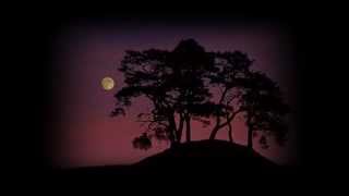 Deja que salga la luna