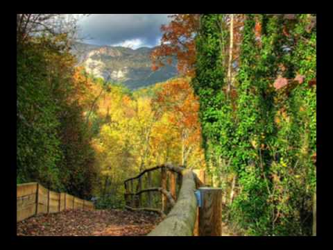 Roberto Yanes (Lagrimas del Alma)