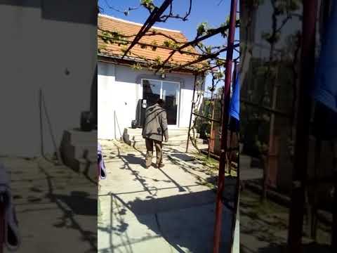 Chitu din Cintei :))