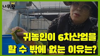 깻잎 농사로 6차산업을 하고계신 대표님을 만나 수익성 및 투자비용에 관하여 물어보았습니다.(귀농,귀촌,농업)