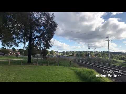 81 class grian train