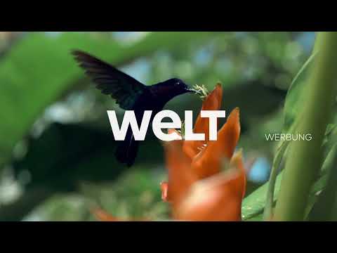 WELT Werbetrenner – Tropenvogel (seit Mai 2021)