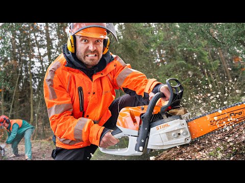 Ein Tag als Förster