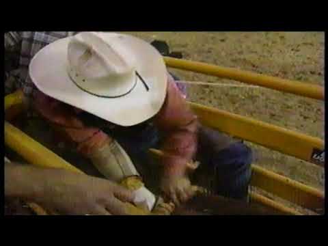 Owen Dunn vs Sledge Hammer - 96 PBR Reno (83 pts)