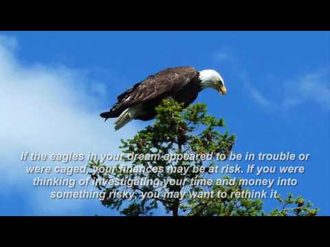 download lagu mp3 mp4 To Dream Of An Eagle, download lagu To Dream Of An Eagle gratis, unduh video klip To Dream Of An Eagle