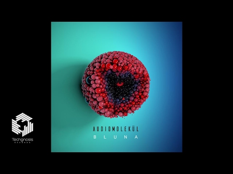 Audiomolekül - Bluna (Ariose Remix)