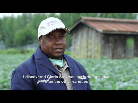 Syngenta Grower Testimonial - Kenya