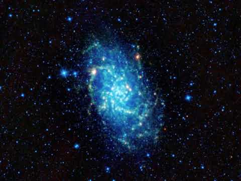 Flying Lotus X Adult Swim Type Beat-Galactic