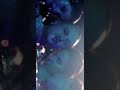 Fucking Girls Video Fucking Trending Trend