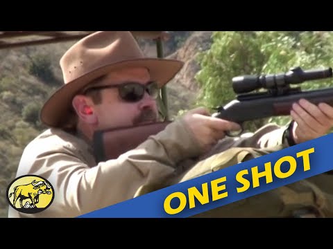 Why Lynn Thompson trusts the single-shot shotgun worldwide