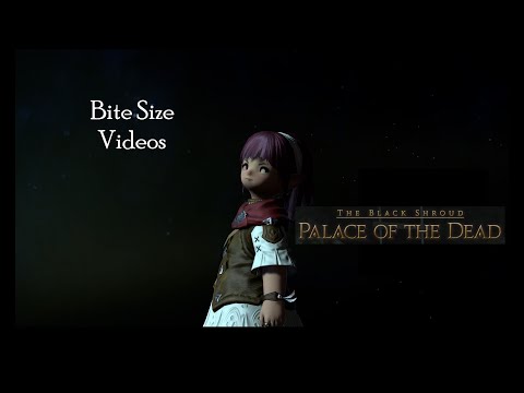 FFXIV - Palace of the Dead for Beginners