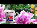 Good Morning Whatsapp Status Good Morning Video Good Morning Status New Status Ajaystatus