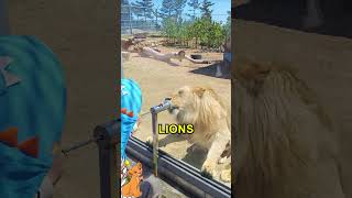 Download lagu Amazing Zoo Experience For Kids π mp3 Download lagu Amazing Zoo Experience For Kids π mp3