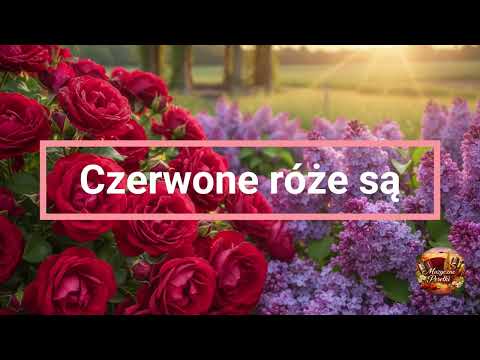 Czerwone róże są | Muzyczne Perełki