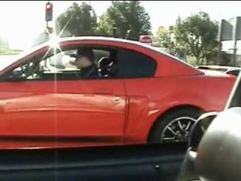 Orange County Mustangs  ((( Elite HorsePower ))) #shorts