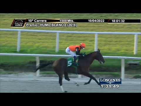 220410 c10 HECHICERO (BRZ)