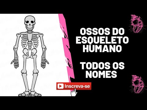 Ossos do esqueleto humano | Todos os ossos do corpo humano | Medicina Geral