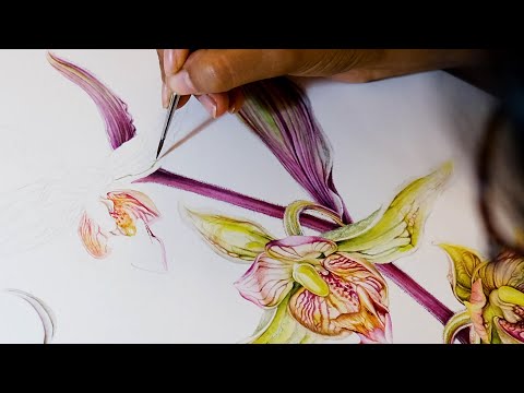 Nirupa Rao's Secret Garden