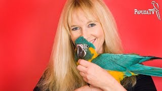 Famous Parrot Behaviorist in Poland