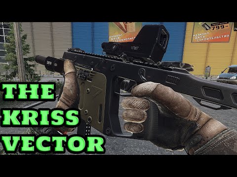 The Vector Is META!!! | Escape From Tarkov