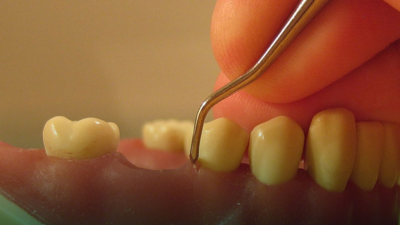 Ana Guadalupe Ontiveros Granados-5