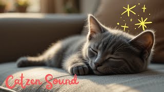 Dreamy Cat Sleep – Soothing Purring for Night Relaxation????????