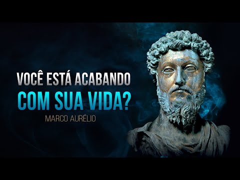 A Vida video