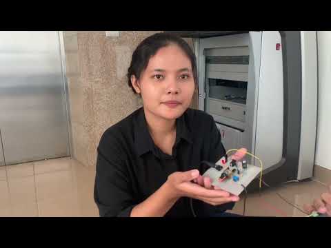 Speaker Amplifier Module Assembly (B)