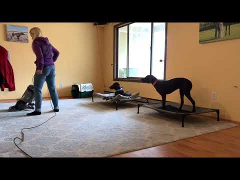 Dipa and Stella - place work